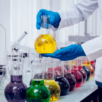 Researcher handling various colorful chemical reagents in round bottom flasks in a laboratory Saffron Chemicals Dubai