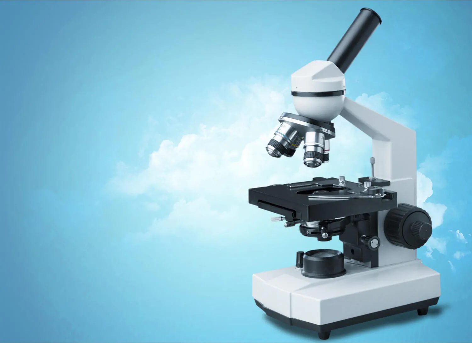 Microscope
