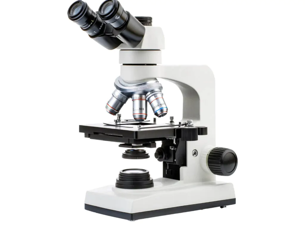 Microscope