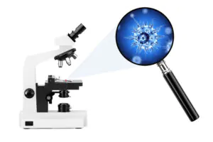 Microscope
